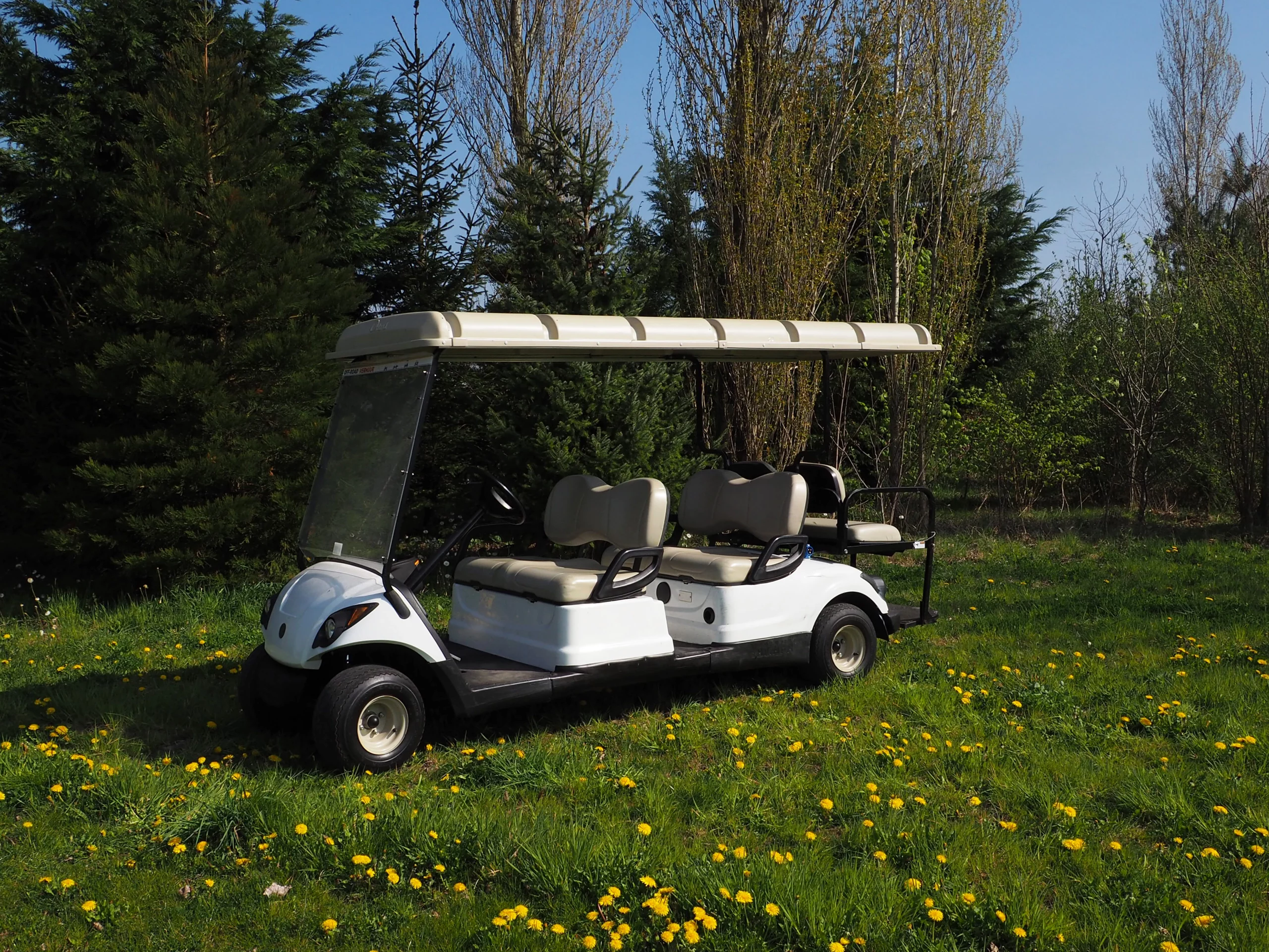 Golfwagen